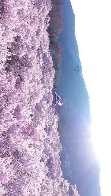 佩德里：国王杯被淘汰我感到痛苦 巴萨对比赛应更投入并专注防守