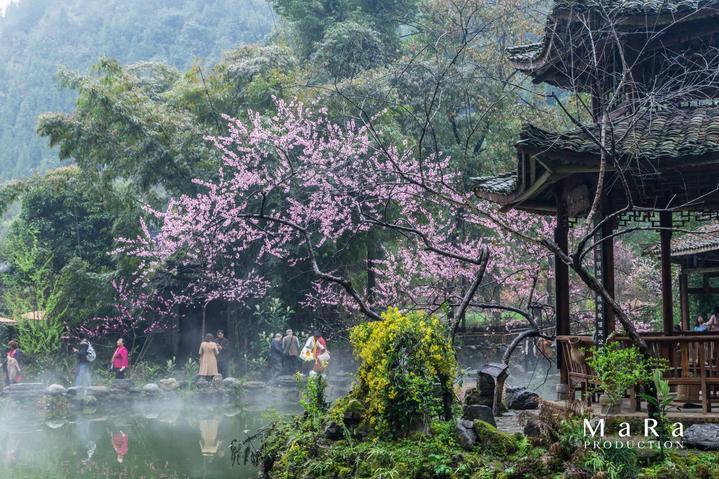 可以自己起公司名称吗游戏画面