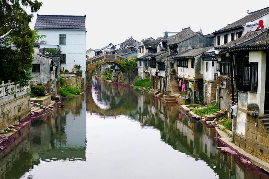 卡通骆驼救援